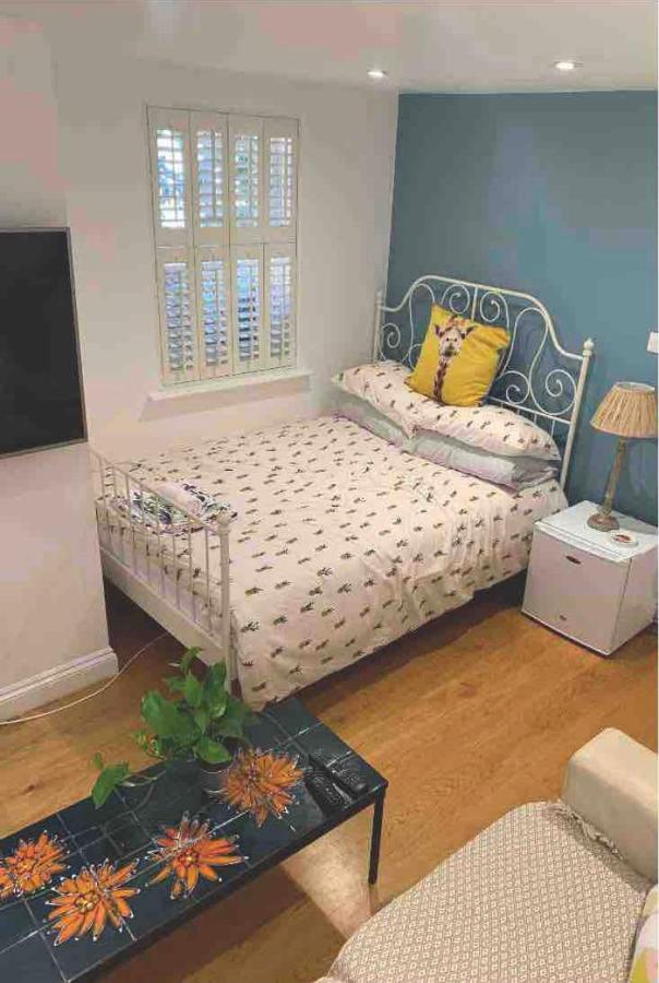 Stylish Modern Studio, Mock Georgian House, Heart Of Trendy Hackney & Londres Exterior foto